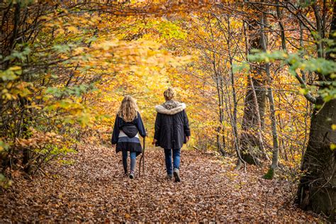 transgaumaise|The Transgaumaise trail through the Gaume region